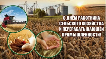 С Днём работников сельского хозяйства и перерабатывающей промышленности!